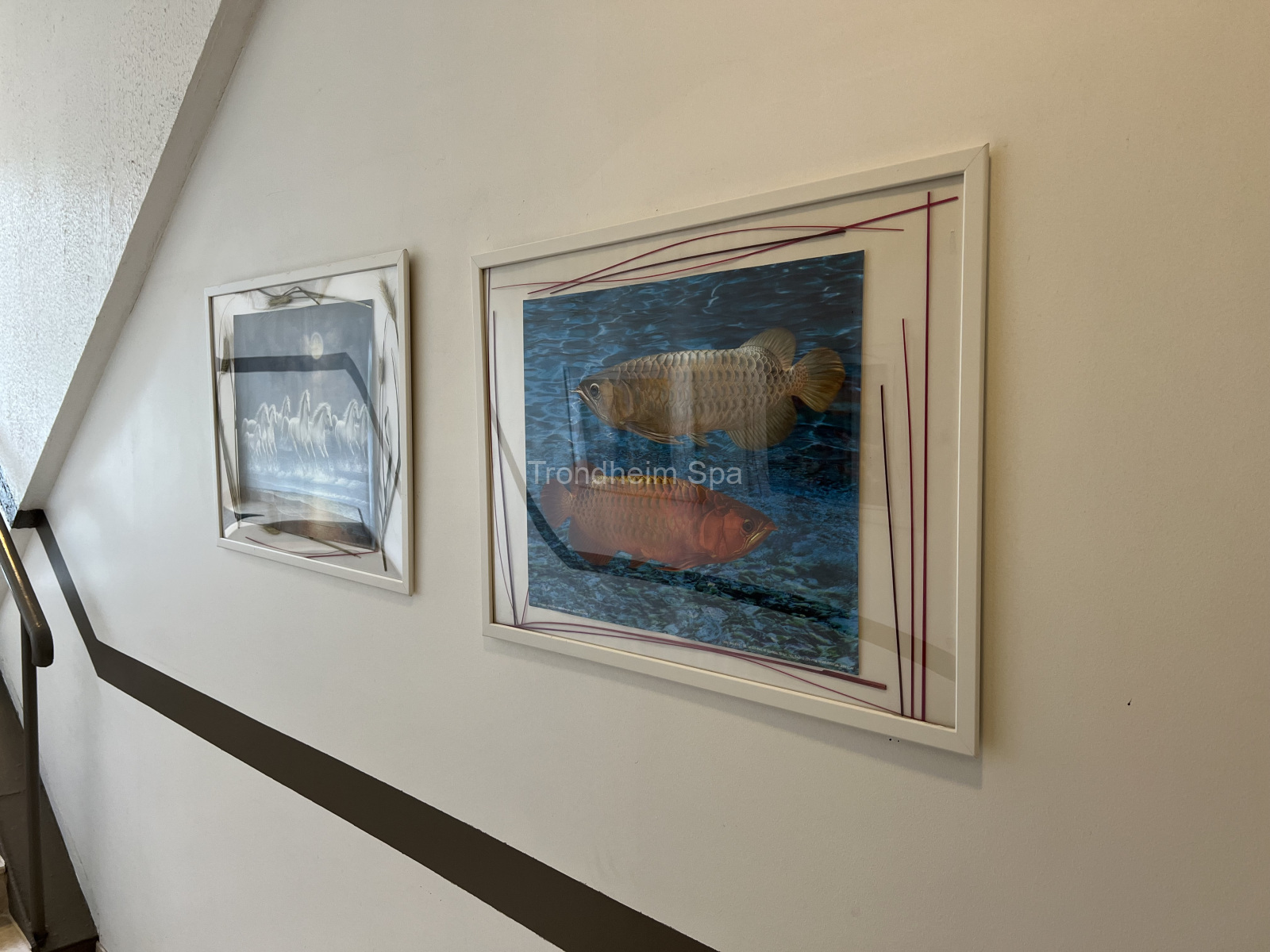 Velkommen Til Trondheim Spa Spa Massasje I Trondheim